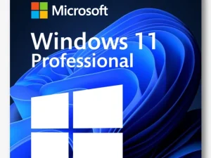 Windows 11 Pro Retail
